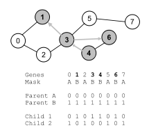 CrossNet uses a chromosomal